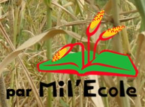 Logo de MIL ECOLE