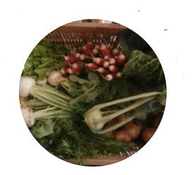 Logo de l'AMAP Jardiney