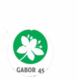 Logo du GABOR 45