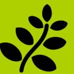 Logo de Agroécologie Organisations