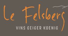 Logo du Felsberg