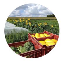 Logo de Clément Benil