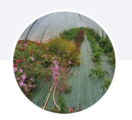 Logo des Petits Fruits du Gatinais