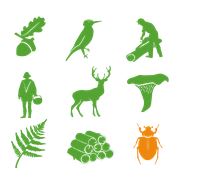 Logo de Forêts en Vie